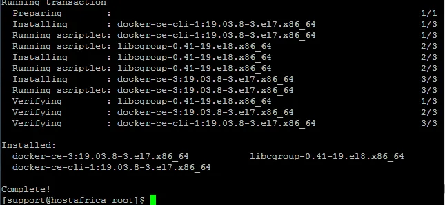 terminal output