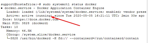 terminal output