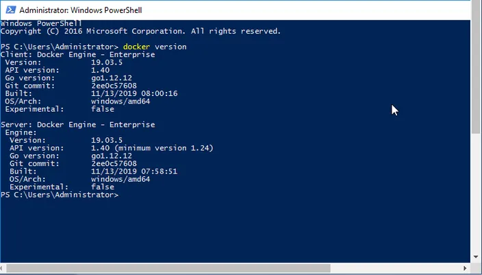 terminal output