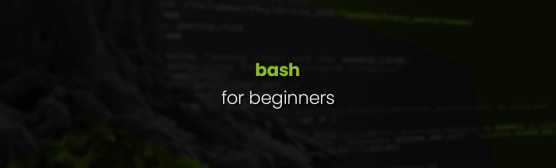 bash for beginners